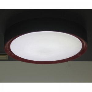 CX374 Ceiling Light