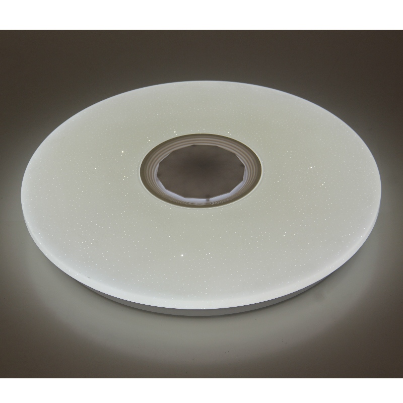 M107 Ceiling Light