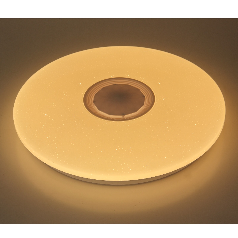 M107 Ceiling Light