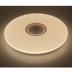M107 Ceiling Light
