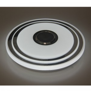 MU109 Ceiling Light