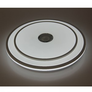 MU110 Ceiling Light