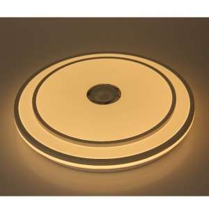 MU110 Ceiling Light