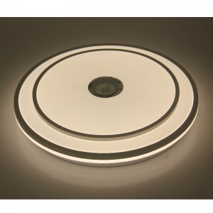 MU110 Ceiling Light