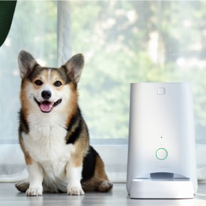 6L APP Pet Feeder