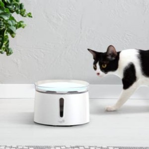 2L Automatisk vattendispenser