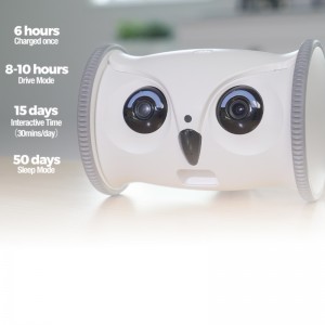 Smart Owl Robot sitter