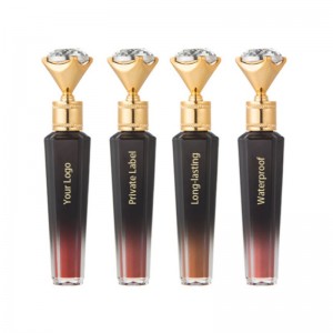 Ny Material LipGloss