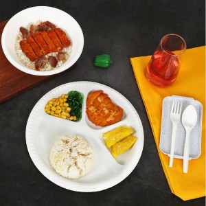 PLA Material Kompostable Engångsmatbehållare