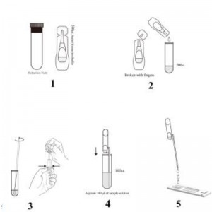 SARS-COV-2 Antigen Rapid Test Kit (Time-löst fluorescens)