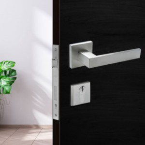 F5450 rostfritt stål spakskortlås,nyckelhanteringslås