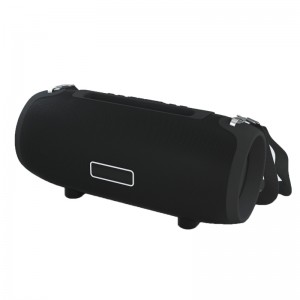 FB-BSL9 bärbar Bluetooth-högtalare