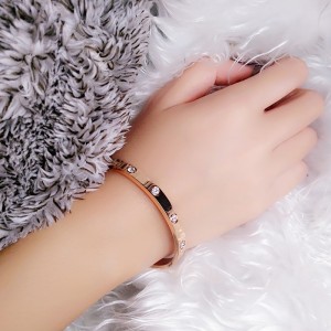 Färskt kallt lufttitan stålarmband