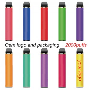 OEM Disposable Vape Pen Custom Logo Anpassade disponibla E-cigaretter