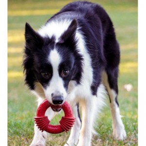Furjoyz Extreme Interactive Rubber Dog Chewing Leksaker