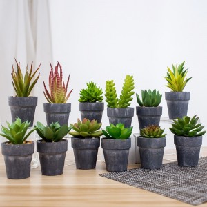 Partihandel potted artificiell saftig växt