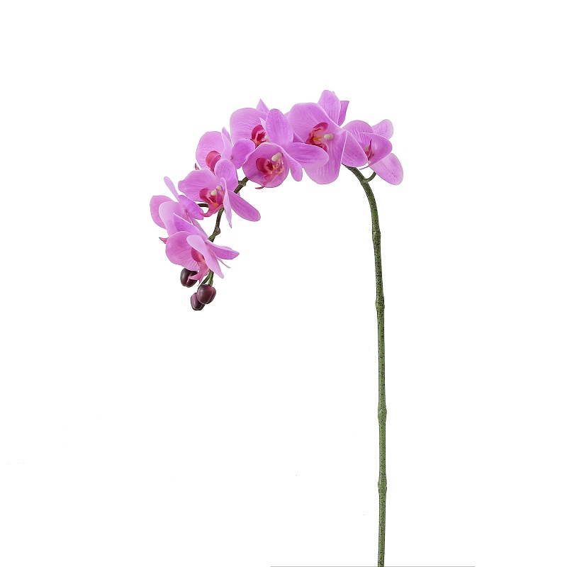 Högkvalitativ real touched single branch artificiell orkidé för försäljning