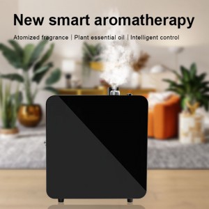 DW-1000AROME-diffusor