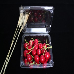 Clamshell matförpackning