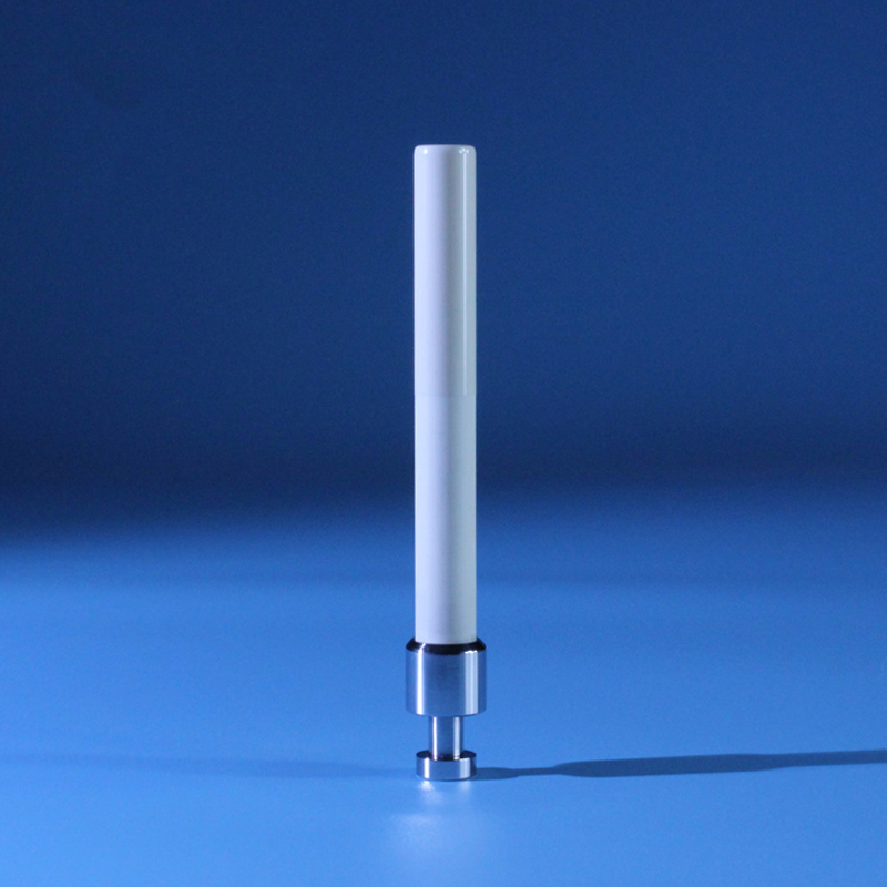 Användningar av aluminiumoxid keramiska plungers