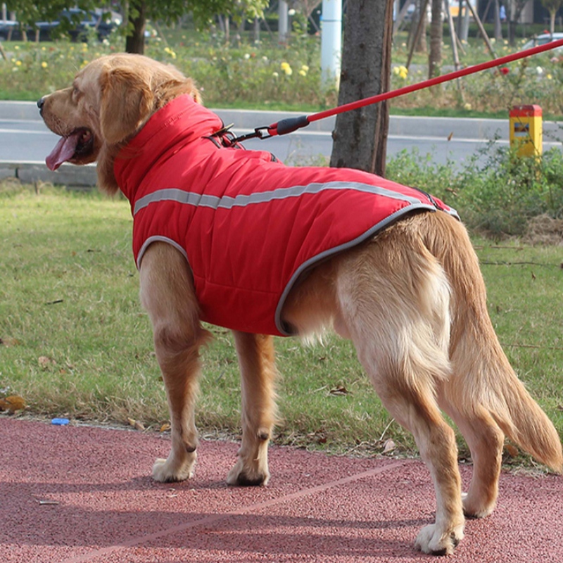 Amazon Top Säljare Personlig hund sele hundkläder reflekterande andetag för medelstora och stora hundar