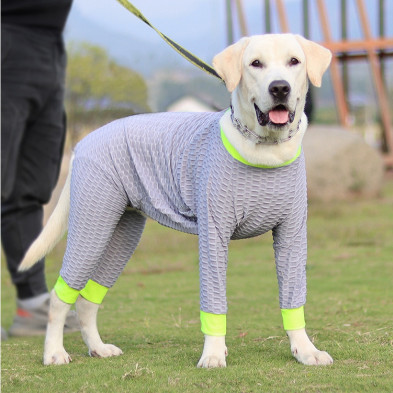 Husdjur hoodies grossist bomull fleece mjuk varm hund kläder sele hund pyjamas husdjur kläder