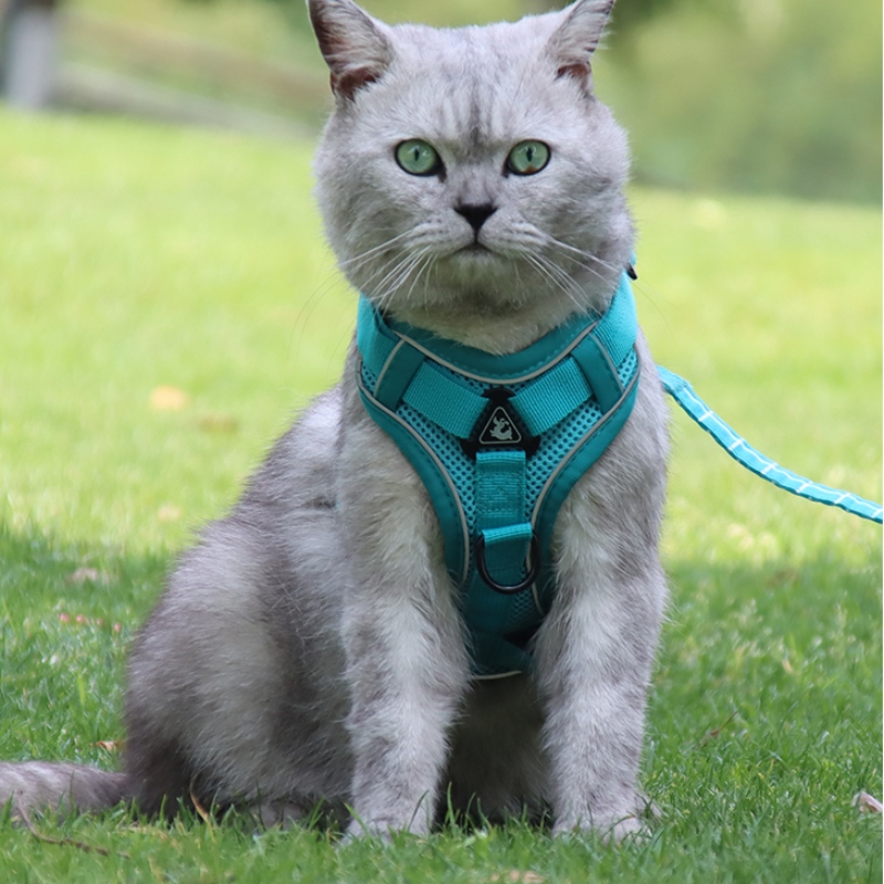 Fashion Pet Vest Typ Traction Bröstband Katt Hund Justerbar Retractable Traction Rope Walking Dog Rope Collar