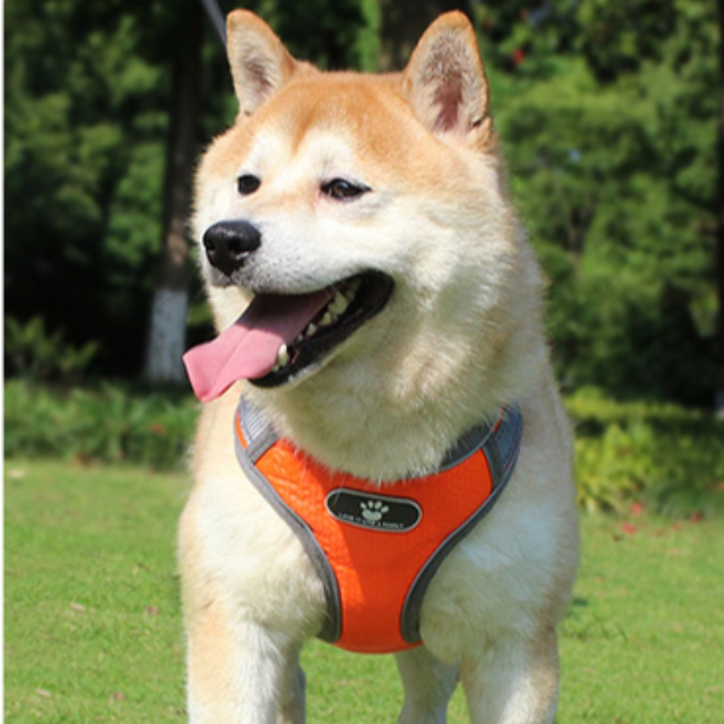 Partihandel OEM Tillverkning Anpassad High End Dog Harness Luxury Pet Dog Reversible Harness Reflective Dog Harness