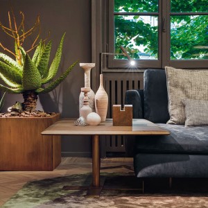 Modern Walnut Solid Wood Coffee Table Lift Multifunktion Höjd Justerbar Soffa Sidobord