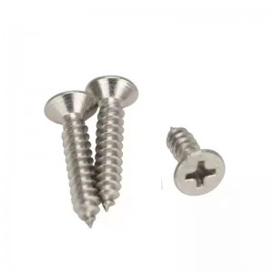 201 Rostfritt stål Räkneshuvud Självuttagande skruv Flat Head Self-Tapping Skruv Custom Cross Självtappning