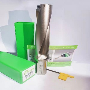 5d u borrinsats spmg