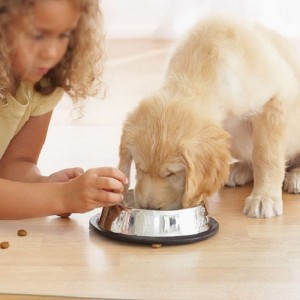 2022 Amazon Hot Sale Stolmatta för trägolvskydd Transparent PP Office Desk Stolmatta