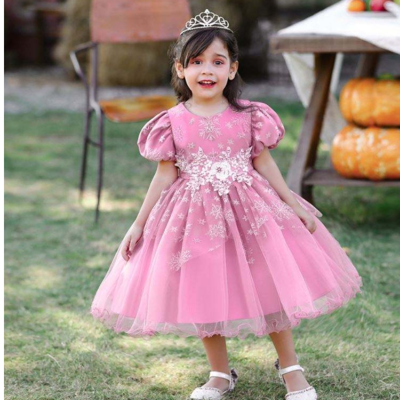 Baige Appliced ​​Short Sleeve New Design Baby Girls Dress Party Dress for Kids Girls