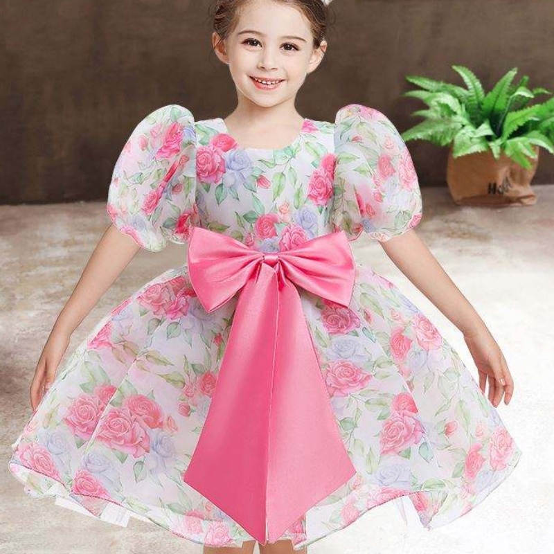 Baige New Fashion Wedding Party Princess Toddler Baby Girls Clothes Barn Baby Girl Dresses