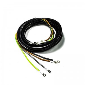 Elektriska och elektroniska ledningsnät