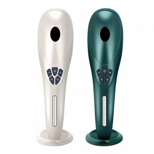 Hårtillväxtkam Electric Laser Head Scalp Massage RF Red Blue Light Anti Hair Lossbehandling EMS Vibration Hårborste