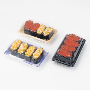Partihandel Takeway Eco Friendly Disponable Custom Plastic Japanese Sushi Box