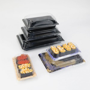Partihandel Takeway Eco Friendly Disponable Custom Plastic Japanese Sushi Box