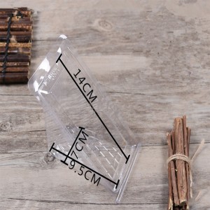 Clear Triangle Box Packaging Wholesale Plastic Food Custom Label Disponerbar Vacker Sandwich och Cake Customer\'s Logo Pet, PLA