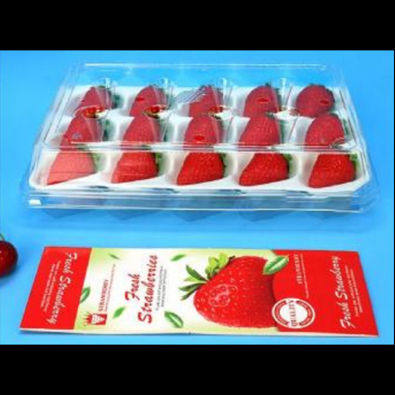 Strawberry Box (15 jordgubbar) 225*120*40 mm cm-15