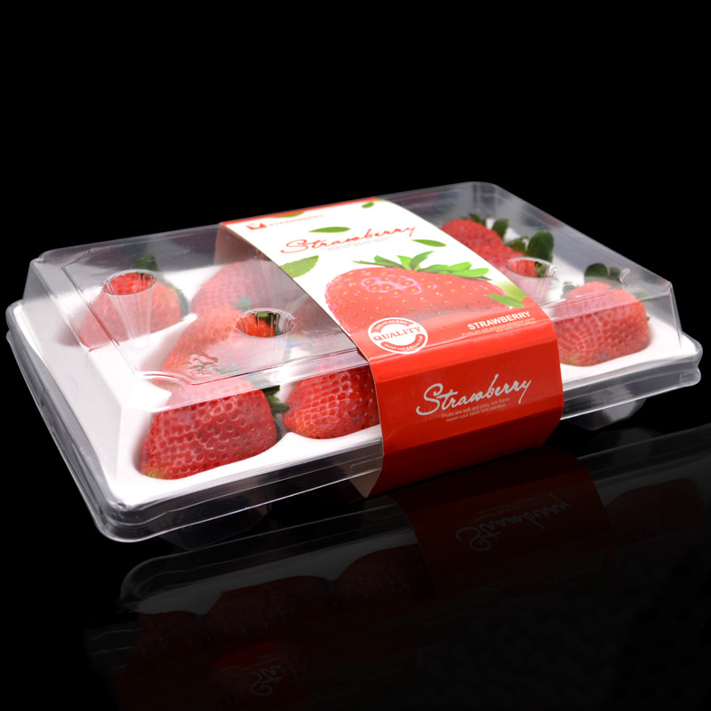Strawberry Box (11 jordgubbar) 225*120*40 mm cm-11