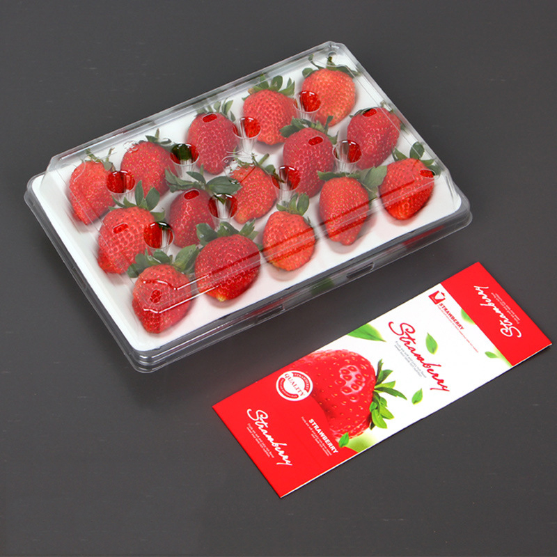 Strawberry Box (15 jordgubbar) 225*120*40 mm cm-15