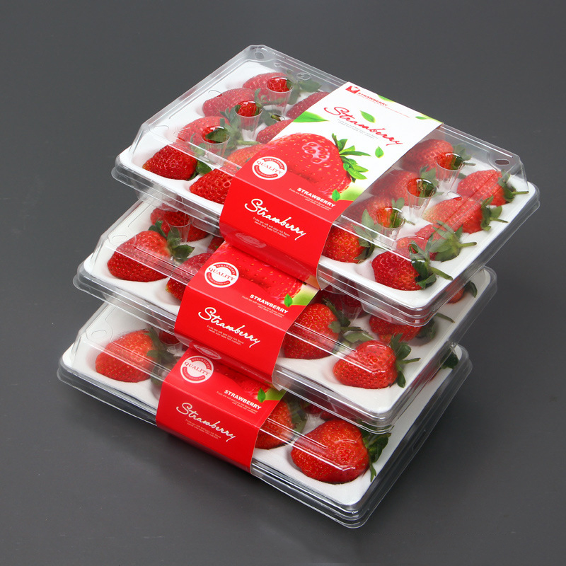 Strawberry Box (20 jordgubbar) 225*120*40 mm cm-20