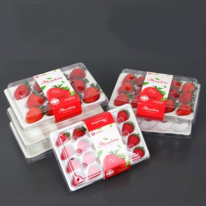 Strawberry Box (20 jordgubbar) 225*120*40 mm cm-20