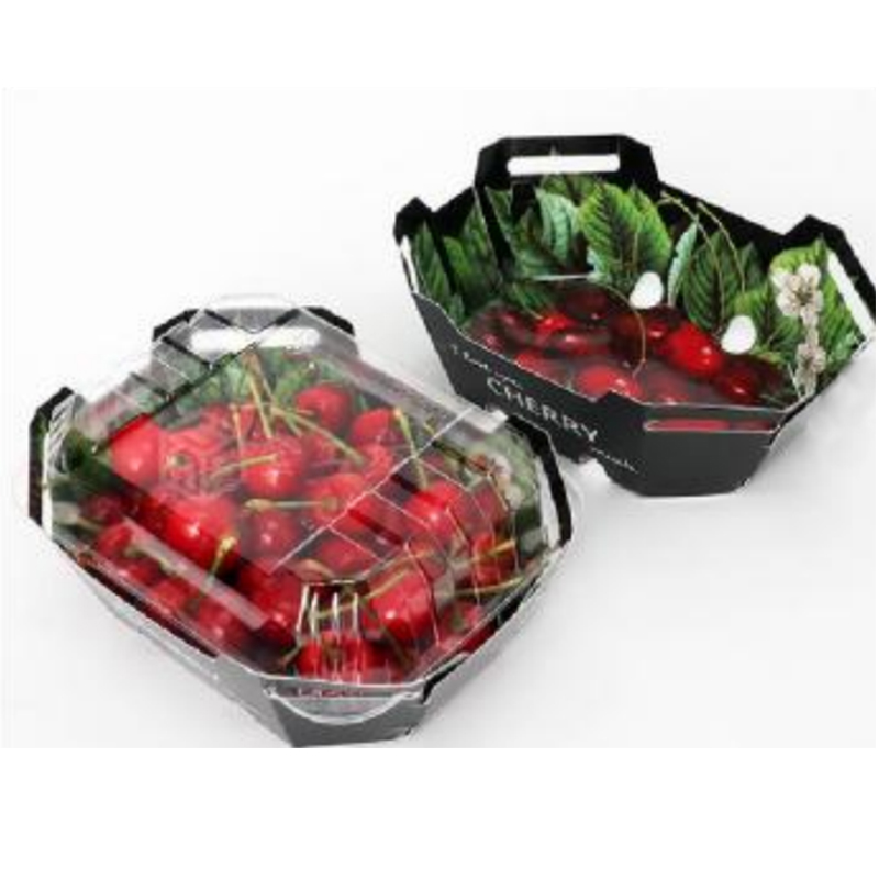 Fruit Box HGF-T250 250 g