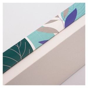 Utsökta presentförpackning med fönsteröppning