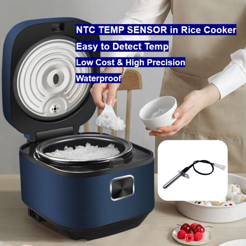 NTC Thermistor Temperatursensor i riskokare