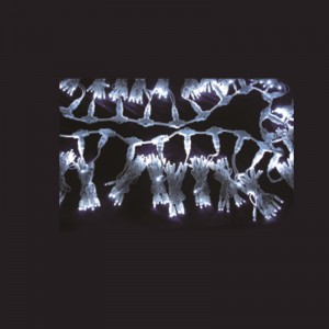 LED -julljusuppsättning