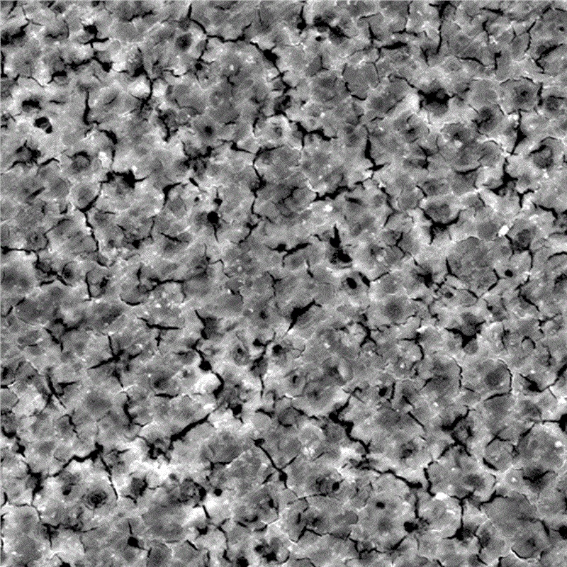 Sprutningsteknik för magnesiumlegering