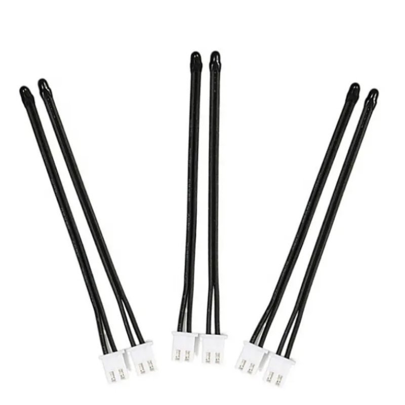 Potentiella säkerhetsrisker för laddning avnya energierelektriska fordon